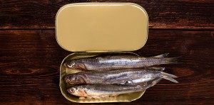 Sardines In Can.